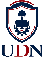 UDN, inicio